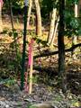 Tract 3 Pleasant Hill Road - Photo 5