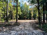 Tract 3 Pleasant Hill Road - Photo 6