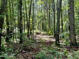Tract 5 Pleasant Hill Road - Photo 11