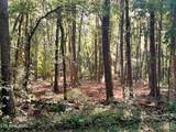 Tract 5 Pleasant Hill Road - Photo 18