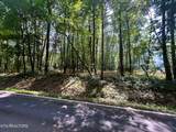 Tract 6 Pleasant Hill Road - Photo 10