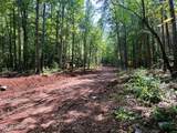 Tract 7 Pleasant Hill Road - Photo 2