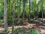 Tract 8 Pleasant Hill Road - Photo 4