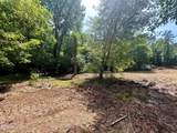Tract 10 Pleasant Hill Road - Photo 4
