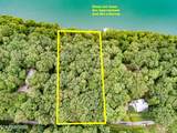 Lot 17 Tumbling Run Rd - Photo 5