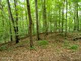 Lot 17 Tumbling Run Rd - Photo 7