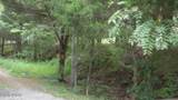 2.64 Old Hwy 53 S - Photo 10