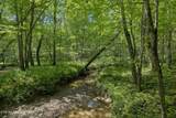  138 Belle Ridge Pvt Dr - Photo 42