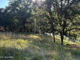 Lot TractD Hillcrest Drive - Photo 20