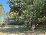 Lot TractD Hillcrest Drive - Photo 22