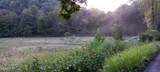  Cane Creek Rd - Photo 9