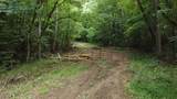 171 acres Scenic River Rd - Photo 2