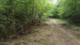 171 acres Scenic River Rd - Photo 3