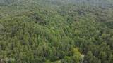 171 acres Scenic River Rd - Photo 6