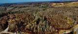 Bear Creek 030 009.00 (Lot 10) Rd - Photo 6