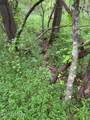 Lot 1 Timber Lake Drive - Photo 2