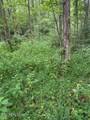 Lot 1 Timber Lake Drive - Photo 6