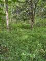 Lot 2 Timber Lake Drive - Photo 2