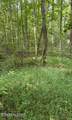 Lot 2 Timber Lake Drive - Photo 4
