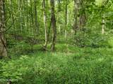 Lot 2 Timber Lake Drive - Photo 6