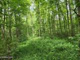 Lot 2 Timber Lake Drive - Photo 7