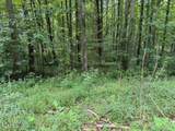 Lot 2 Timber Lake Drive - Photo 9