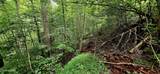 491 Chetola Tr - Photo 4