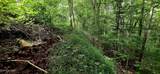 491 Chetola Tr - Photo 6