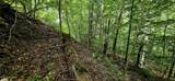 491 Chetola Tr - Photo 9