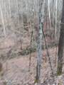  Stoney Fork Rd - Photo 3