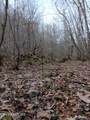  Stoney Fork Rd - Photo 4