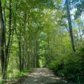 2774 Stanley Creek Rd - Photo 26