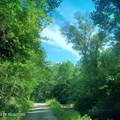 2774 Stanley Creek Rd - Photo 28