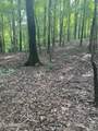 44 acres Sheep Bluff Rd - Photo 10