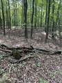 44 acres Sheep Bluff Rd - Photo 11