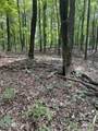 44 acres Sheep Bluff Rd - Photo 12