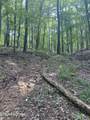 44 acres Sheep Bluff Rd - Photo 13
