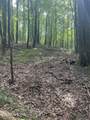 44 acres Sheep Bluff Rd - Photo 14