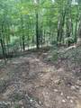 44 acres Sheep Bluff Rd - Photo 15