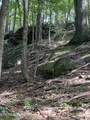 44 acres Sheep Bluff Rd - Photo 16