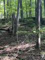 44 acres Sheep Bluff Rd - Photo 18