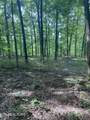 44 acres Sheep Bluff Rd - Photo 19