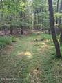 44 acres Sheep Bluff Rd - Photo 21