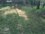 44 acres Sheep Bluff Rd - Photo 23