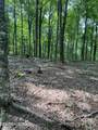 44 acres Sheep Bluff Rd - Photo 4