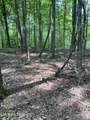 44 acres Sheep Bluff Rd - Photo 5
