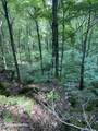 44 acres Sheep Bluff Rd - Photo 6