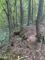 44 acres Sheep Bluff Rd - Photo 7