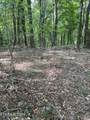 44 acres Sheep Bluff Rd - Photo 9