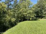  Lovely Bluff Rd - Photo 13